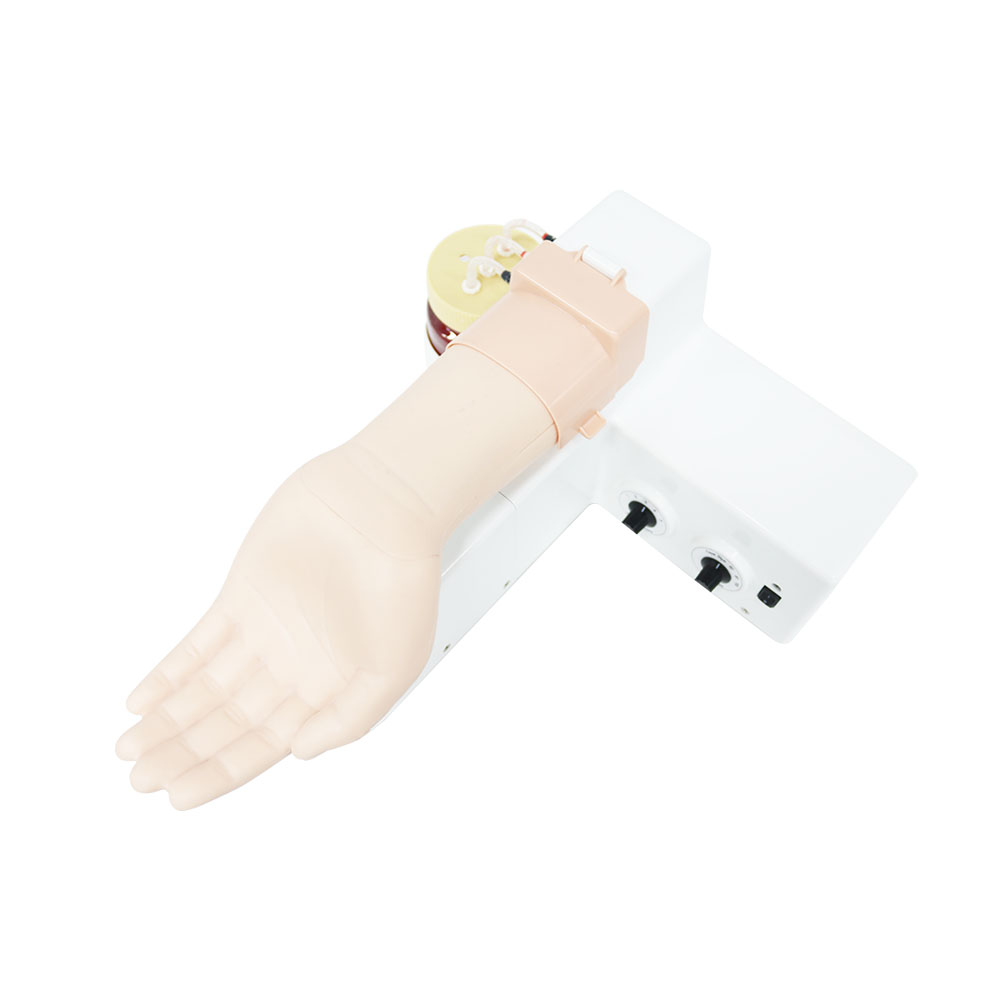 Arterial Puncture Training Model - BT INC