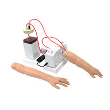 Intravenous Injection Training Arm - Infants 1 and 3 Years - BT INC