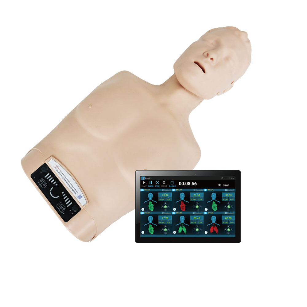 CPR Training Torso and Basic Life Support Assessment - BT INC