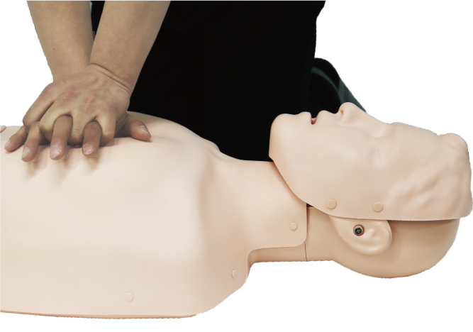 CPR & Airway Management Training Model - BT inc