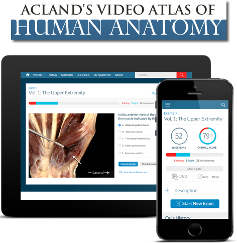 Acland's Video Atlas of Human Anatomy