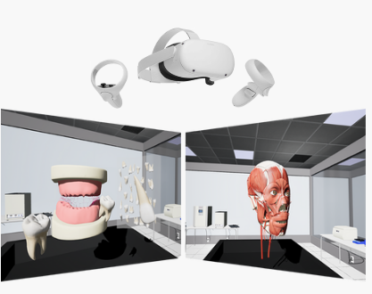 Interactive VR simulator for anatomy AS_HEAD&NECK