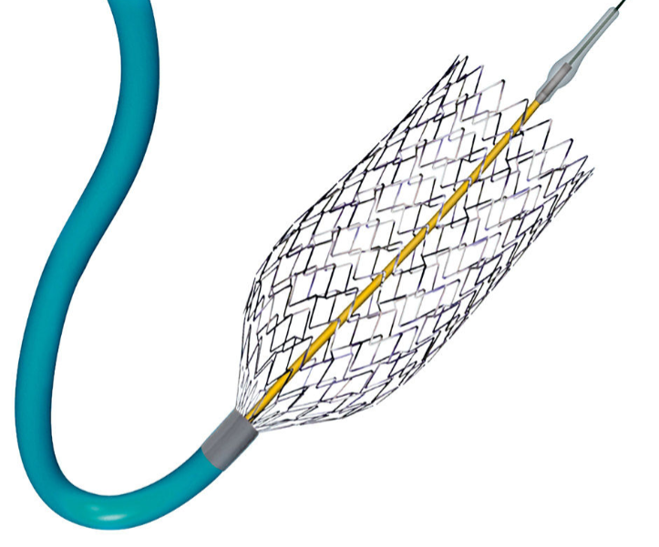 Peripheral stent - PRECISE™ PRO RX™