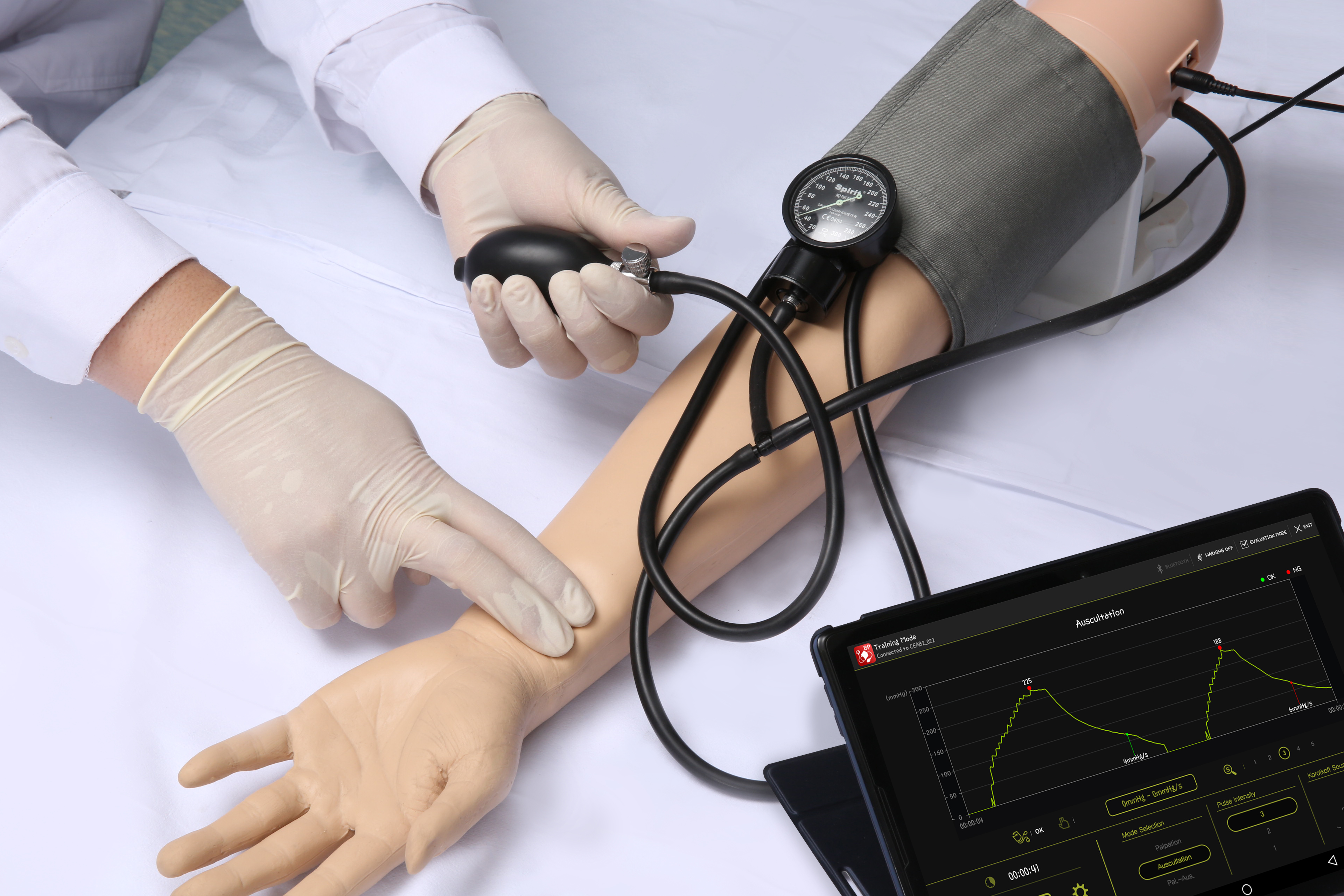 Blood Pressure Arm - BT Inc.