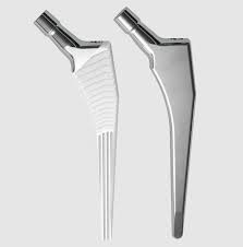 Avenir Hip System